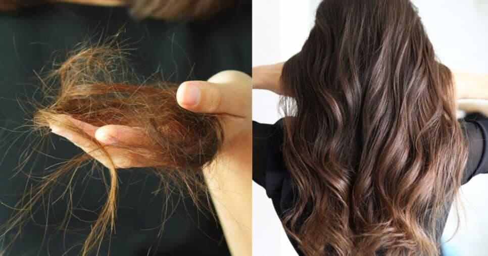 Fim da queda e fios secos: Óleo natural com 1 ingrediente deixa o cabelo macio, hidratado e acelera o crescimento