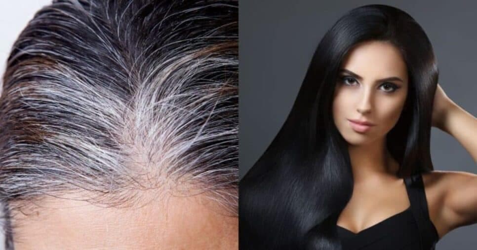 Fios jovens e saudáveis para sempre: Antioxidante natural extermina o cabelo branco em 4 passos
