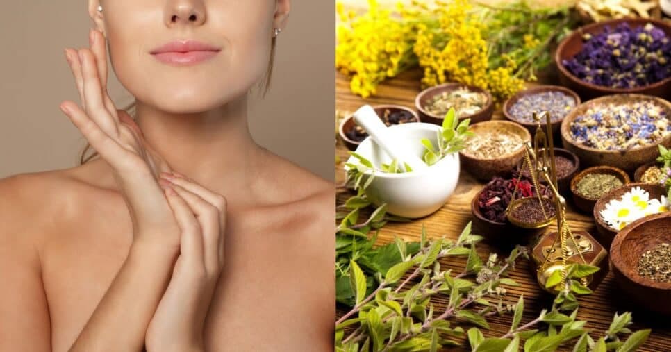 Botox 100% natural: 5 ervas para deletar rugas profundas e ter pele lisinha para sempre