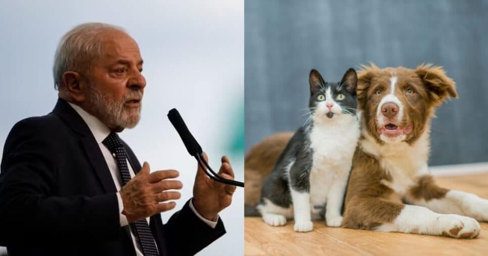 Agora é lei: Lula acaba de assinar novo decreto com proibição que abala donos de cães e gatos em 2025