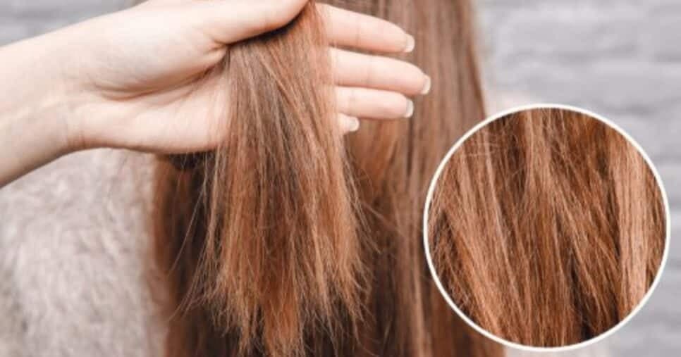 Recupera o cabelo da UTI: 1 ingrediente natural faz tratamento intensivo nos cabelos secos e devolve maciez