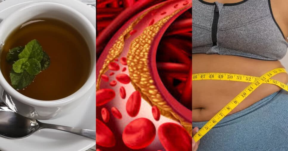 Suga a gordura do sangue: Chá milagroso com 3 ingredientes derruba o colesterol das 50+ em 7 dias