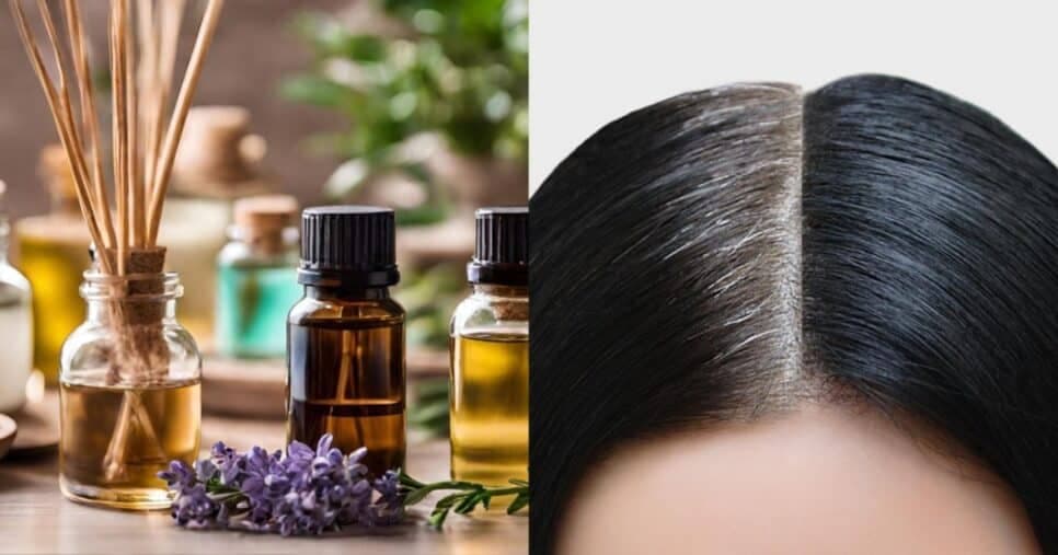 Adeus, tinta: 3 óleos naturais revertem o cabelo branco até o último fio grisalho sem gastar no salão
