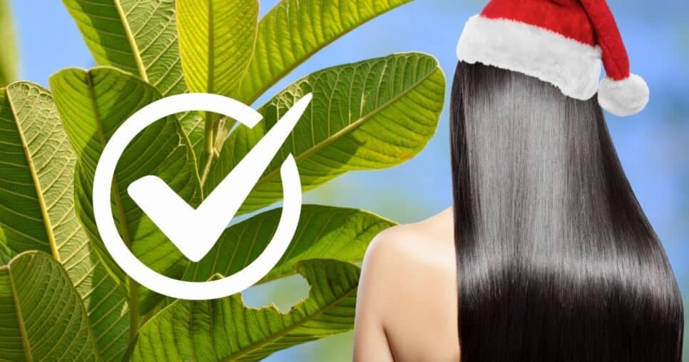 Fios 10cm maiores: Planta mágica para o cabelo crescer rapidamente antes do Natal