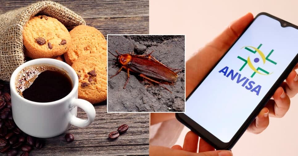 Café e biscoitos com fragmentos de inseto: Lei da ANVISA traz decreto sobre 2 populares nº1 dos brasileiros