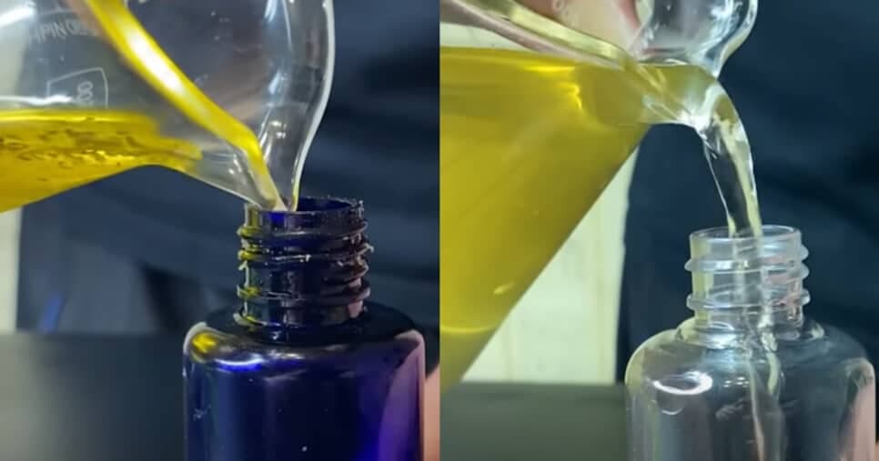 Suas 2 receitas (Foto: YouTube)