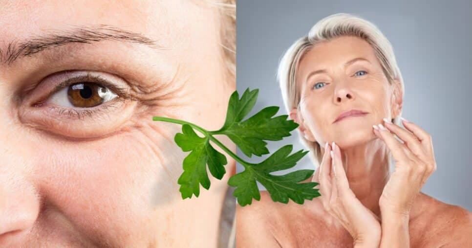 Harmonização facial caseira: Mistura com salsa +2 ingredientes elimina rugas e paralisa o envelhecimento
