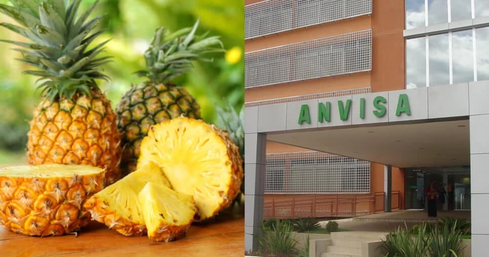 Abacaxi e +1 fruta: Jornal da Band traz comunicado emergencial da ANVISA com descoberta sobre 2 populares