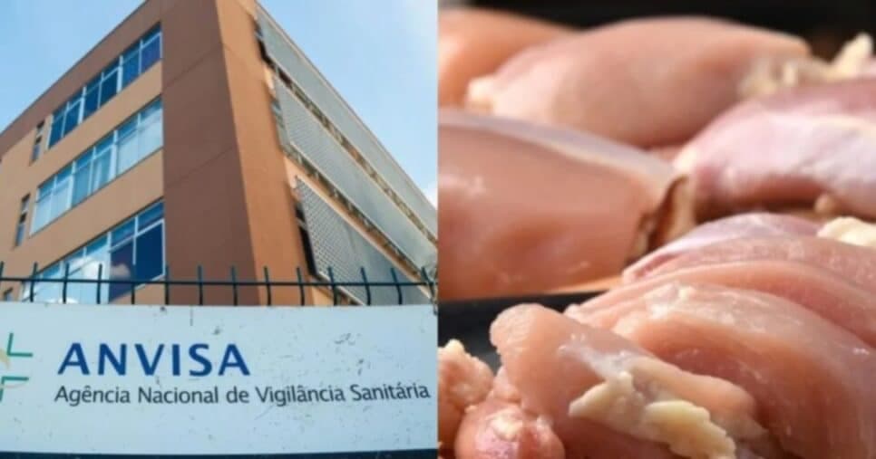 Contaminação no frango: Informe da ANVISA deve ser lido por donas de casa hoje 08/01