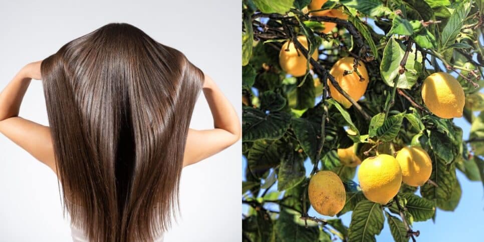 Fios lisos e hidratados sem química: Progressiva natural com limão +3 ingredientes alisa até a raiz do cabelo