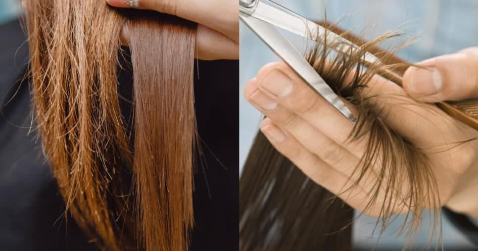 Tchau, cabelo destruído: Único ingrediente natural revitaliza ressecamento e salva fios da tesoura