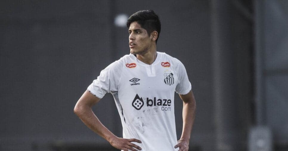 Fernando Nava - (Crédito: Bruno Vaz/Santos FC)