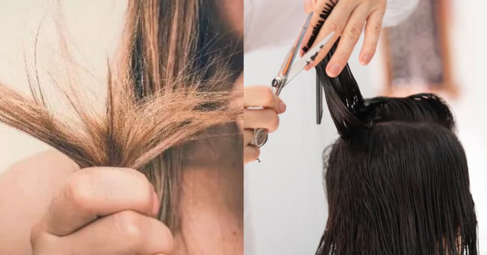 Tchau, cabelo ressecado: Único ingrediente natural revitaliza fios e salva fios da tesoura