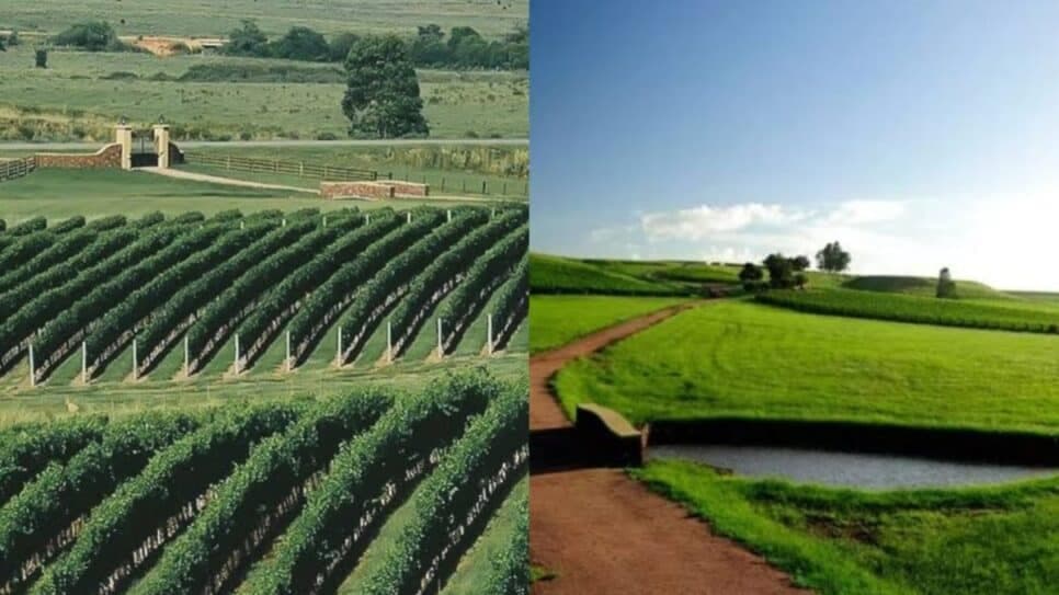 A gigantesca fazenda de 100 hectares do apresentador (Fotos: Reprodução/ Instagram/ Internet/ Montagem)