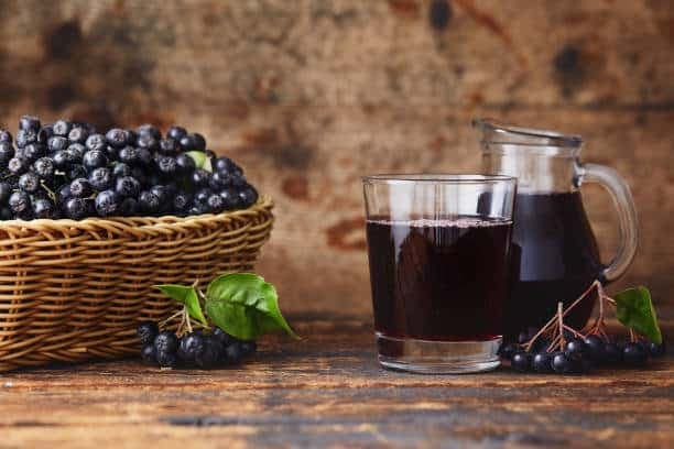 Suco de arônia negra (Foto Reprodução/Stock)