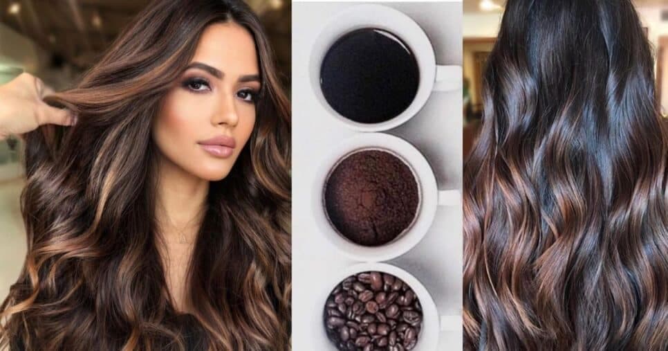 Tons de café (Foto Reprodução/Montagem/Tv Foco/Lennita/Pinterest)