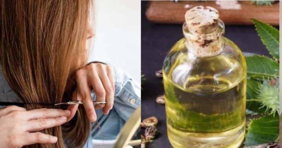 Nem chapinha estraga: 3 óleos naturais para deixar o cabelo imune as pontas duplas e danos