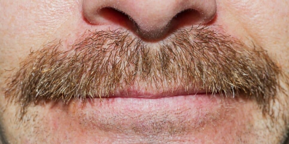 Bigode
