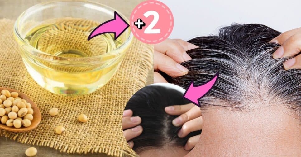 Tinta natural com soja +2 ingredientes dá fim ao cabelo branco sem gastar 1 real no salão