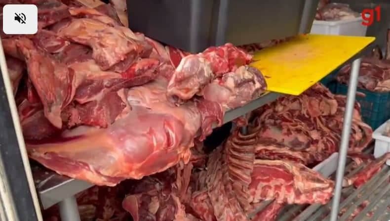 Carne em estado de decomposição (Foto Reprodução/G1)