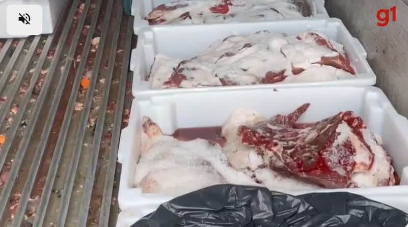 Carne em estado de decomposição (Foto Reprodução/G1)