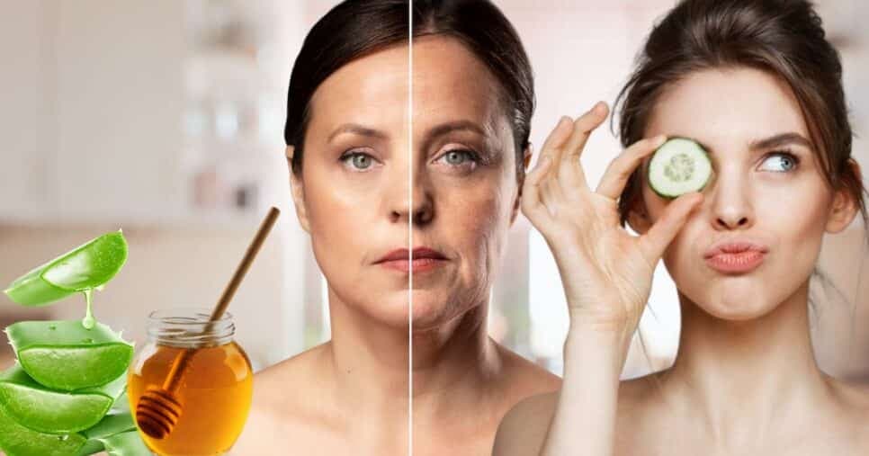 Babosa, mel e chá: 3 ingredientes hidratam a pele, eliminam olheiras e rejuvenescem a aparência