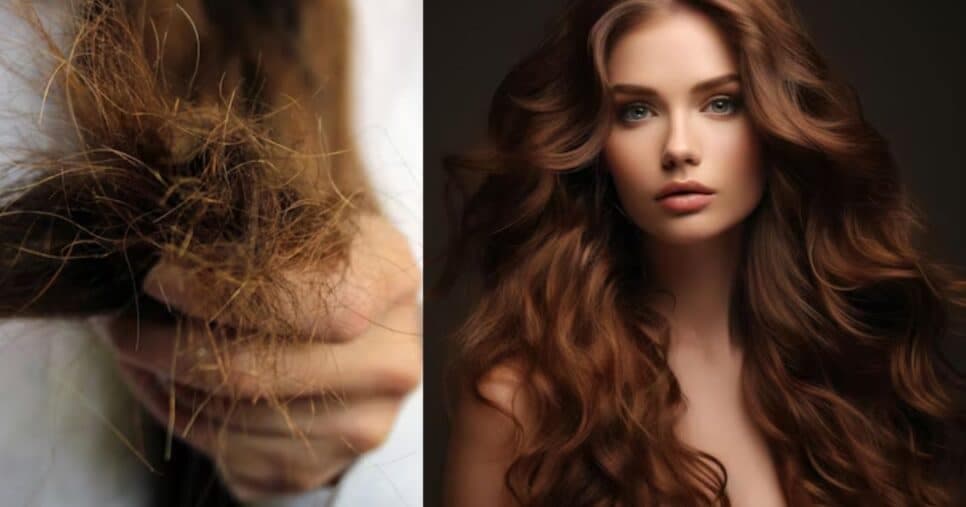 Fim da ponta dupla e falta de brilho: Hidratação potente com 1 ingrediente revive o cabelo danificado