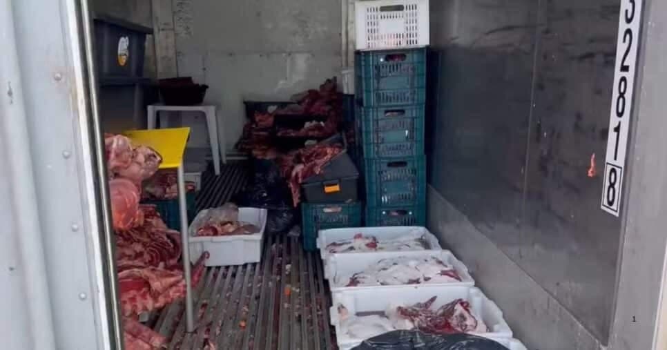 Vigilância Sanitária interdita açougue e container por conter carne esverdeada e apodrecida (Foto Reprodução/G1)