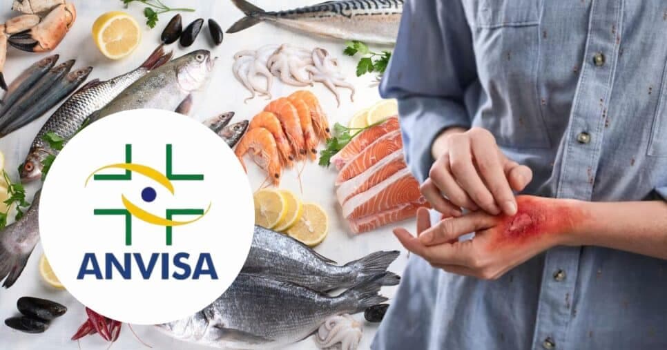 "Queimaduras": Jornal da Band é paralisado com decreto da ANVISA que alcança peixe popular nº1 do Brasil