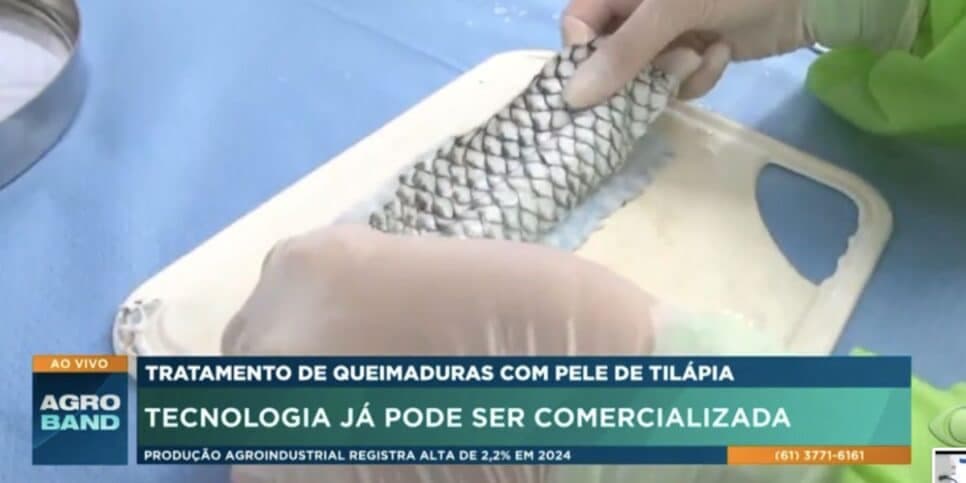Pele de tilápia (Foto: Reprodução / Band)