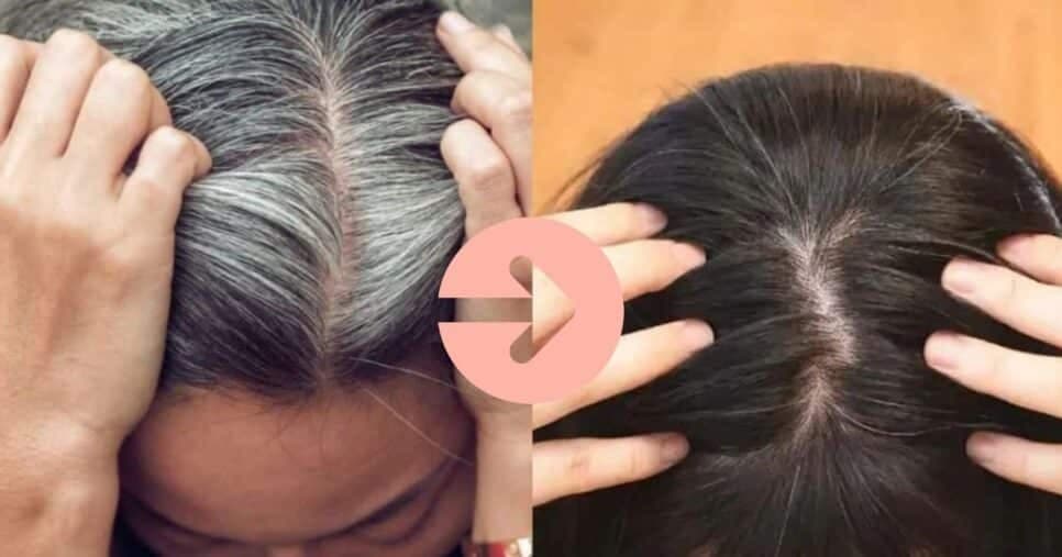 Tchau, idas ao salão: Mistura com vinagre +1 ingrediente colora o cabelo branco em 30 minutos