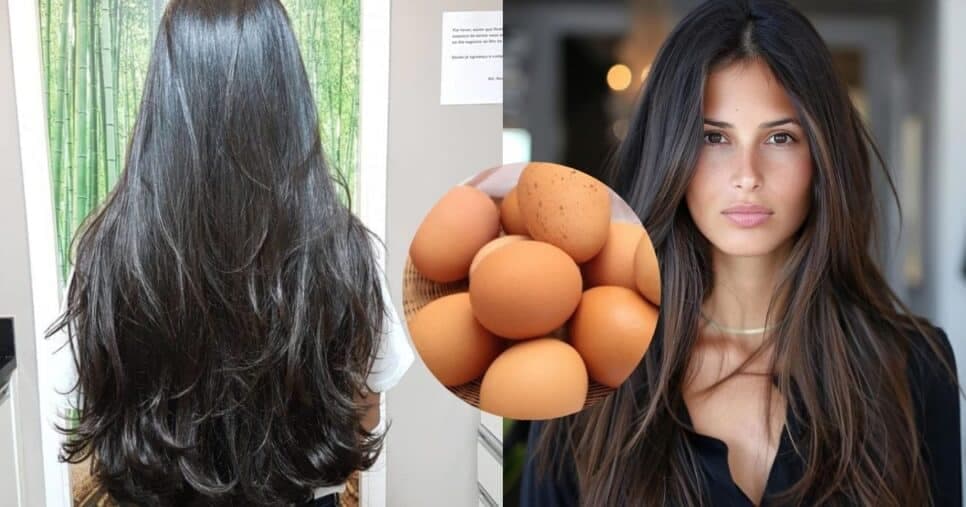 Cabelo forte e brilhante: Máscara natural com ovo +4 ingredientes deixa fios 15cm maiores em 2 semanas