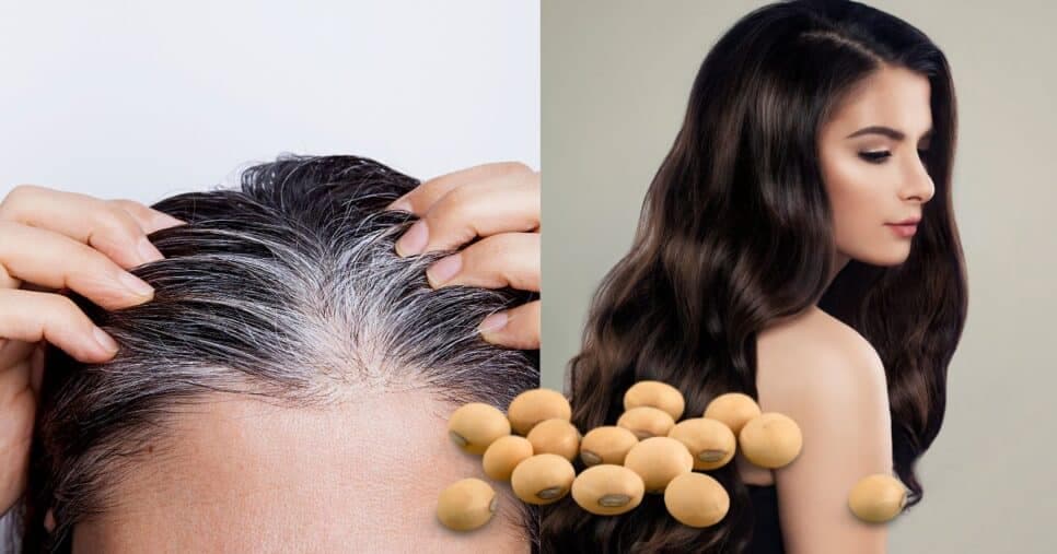 Misturinha com soja +3 ingredientes reverte da raiz as pontas do cabelo branco, hidrata fios e rejuvenesce