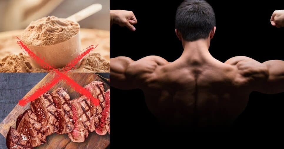 Melhor que Whey e carne: Descoberto o único ingrediente natural que traz proteína potente aos músculos em 2025