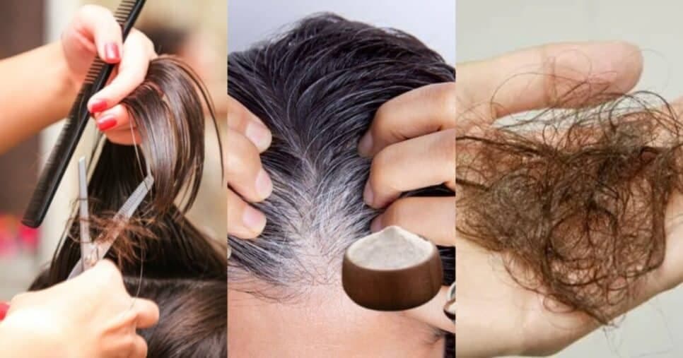 Salvação das 60+: 5 cortes de cabelo rejuvenescem 20 anos +2 passos acabam de vez com o grisalho e queda