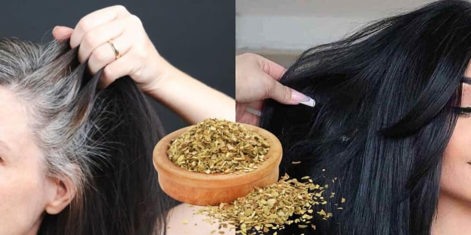Tinta natural com orégano +2 ingredientes populares reverte até o último fio de cabelo branco sem amônia