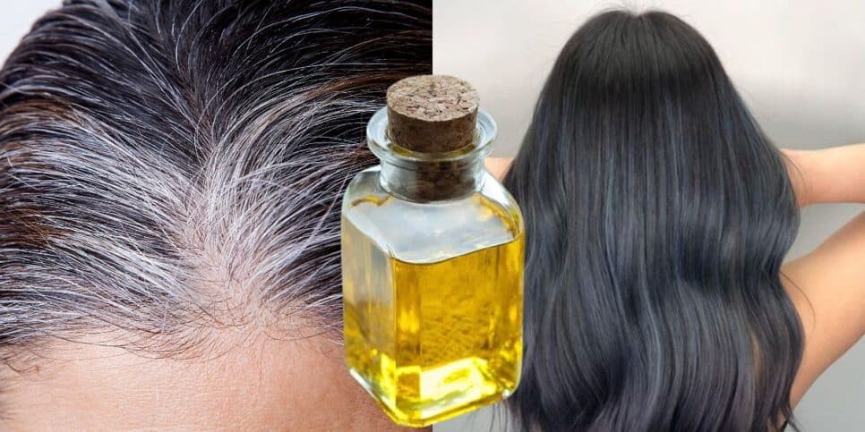 Fim do grisalho: Óleo natural com apenas 1 ingrediente aniquila os cabelos brancos das 45+ em 20 minutos