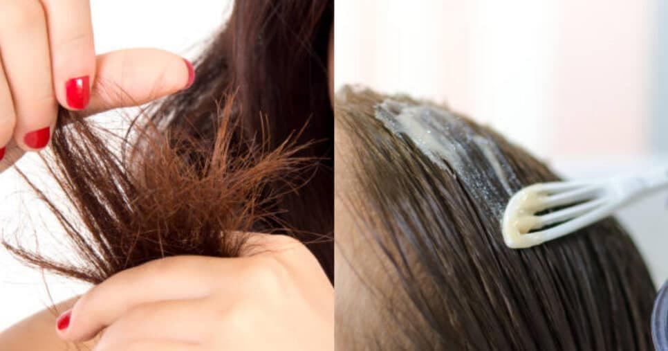 Fim do frizz, ressecamento e ponta dupla: Máscara com 2 ingredientes ressuscita o cabelo da UTI