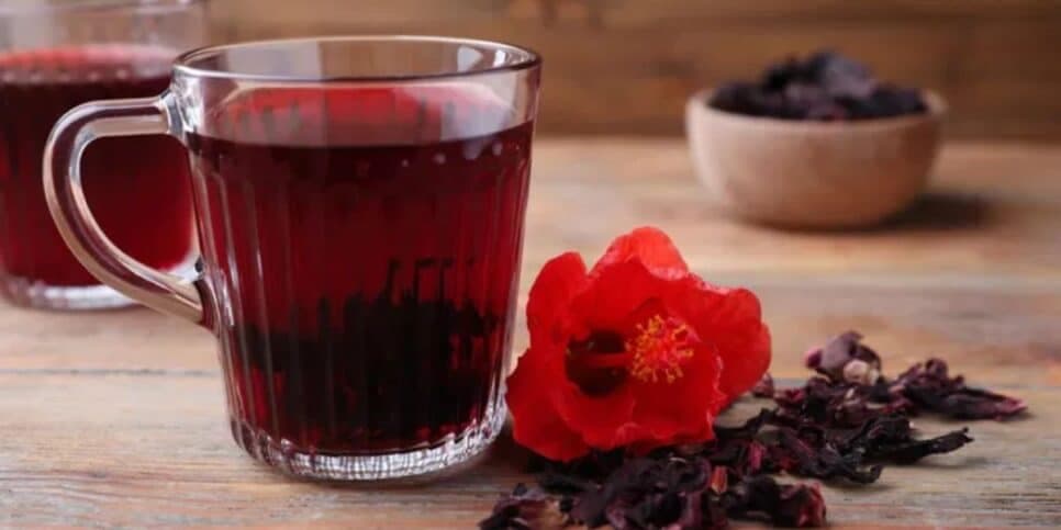 Chá de hibisco ajuda no emagrecimento (Reprodução: Canva)
