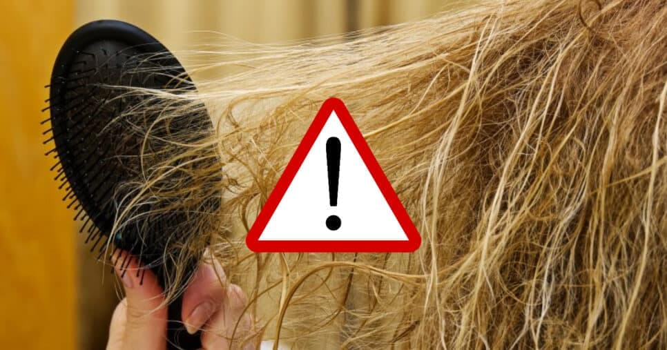 Sem pisar no salão: Receita com apenas 2 ingredientes revive o cabelo destruído