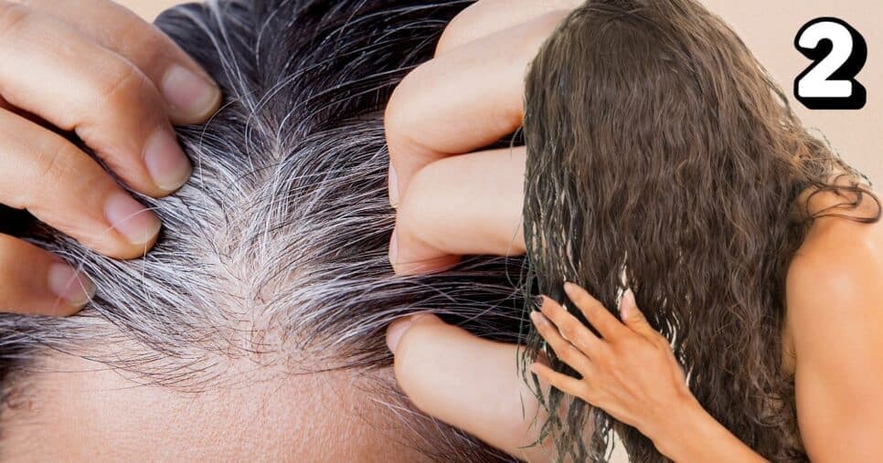 Tinta natural com 2 ingredientes reverte até o último fio de cabelo branco e acaba com os fios danificados