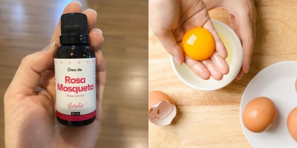 Óleo de rosa de mosqueta e 2 gemas de ovo para a receita (Reprodução: Montagem TV Foco)