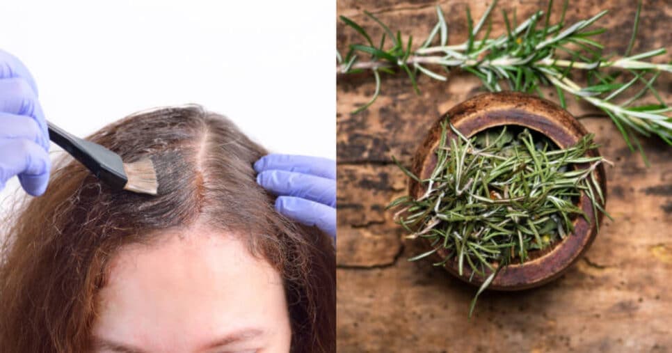 Tinta natural de cabelo ajuda a acabar com os fios brancos (Foto: Montagem TV Foco)