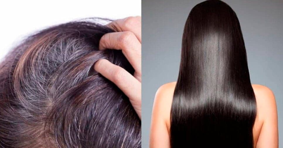 Aparência jovem e fios a salvo da química: Receita milagrosa com 3 ingredientes acaba com o cabelo branco