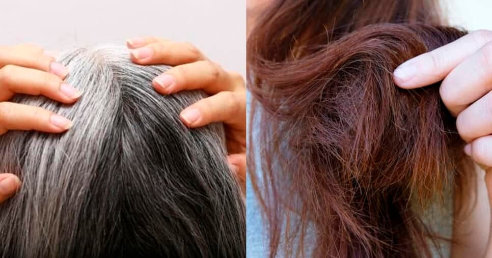 Fim da tinta e fios quebradiços: Mistura com 4 ingredientes reverte o cabelo branco em 5 minutos