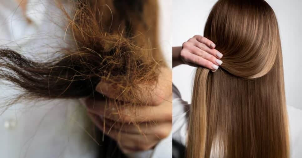 Como hidratar o cabelo ressecado e ter um resultado de salão com produtos baratos