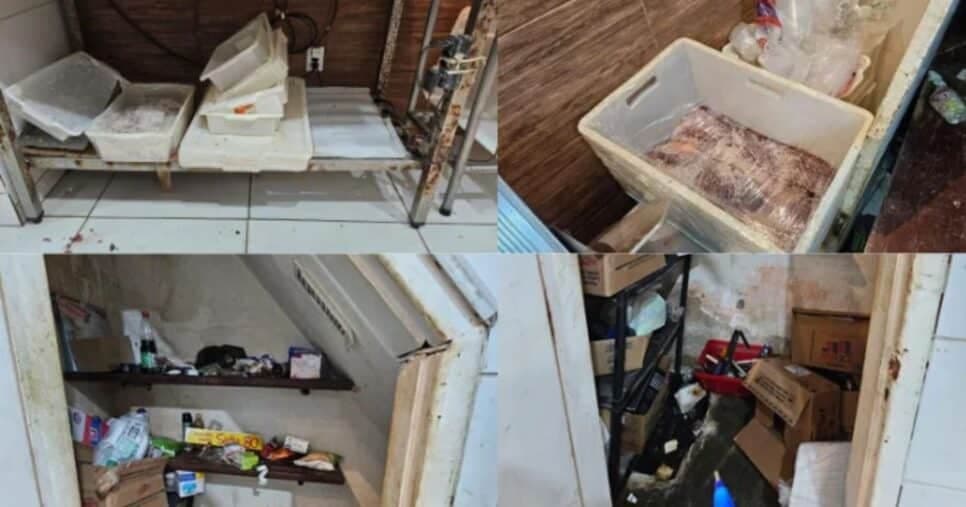 Carnes podres em meio a baratas e insetos (Foto Reprodução/Montagem/Vigilância Sanitária)