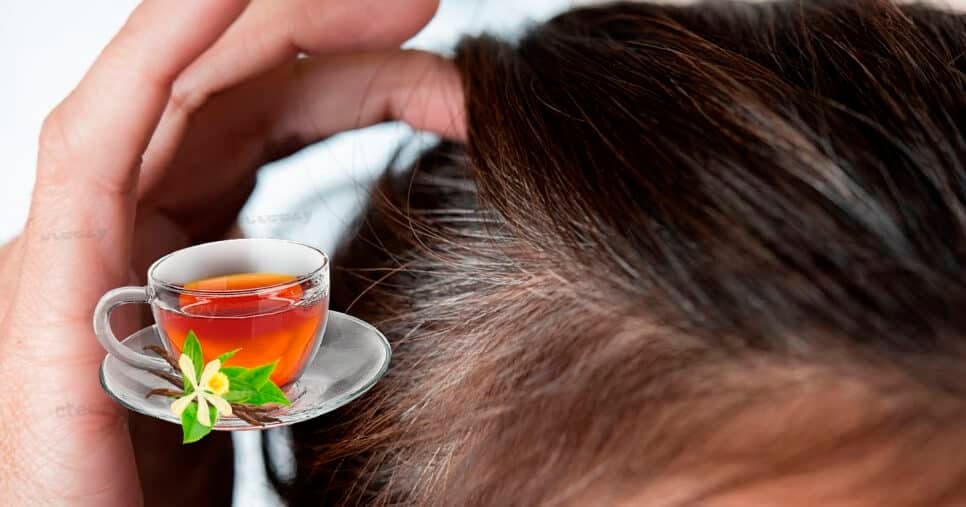 É o fim do grisalho: Chá caseiro com 2 ingredientes acaba até com o último fio de cabelo branco das 60+