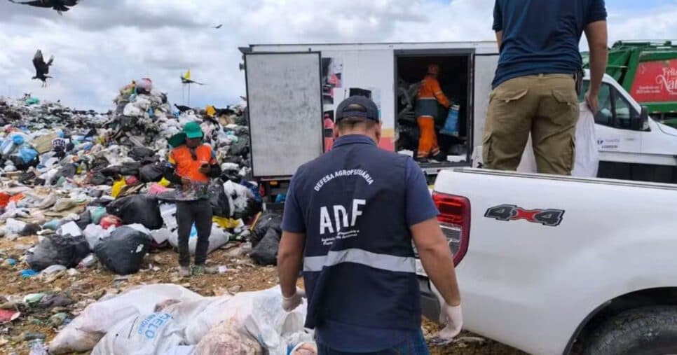 Produtos foram descartados no aterro sanitário. — Foto: Adaf/Divulgação