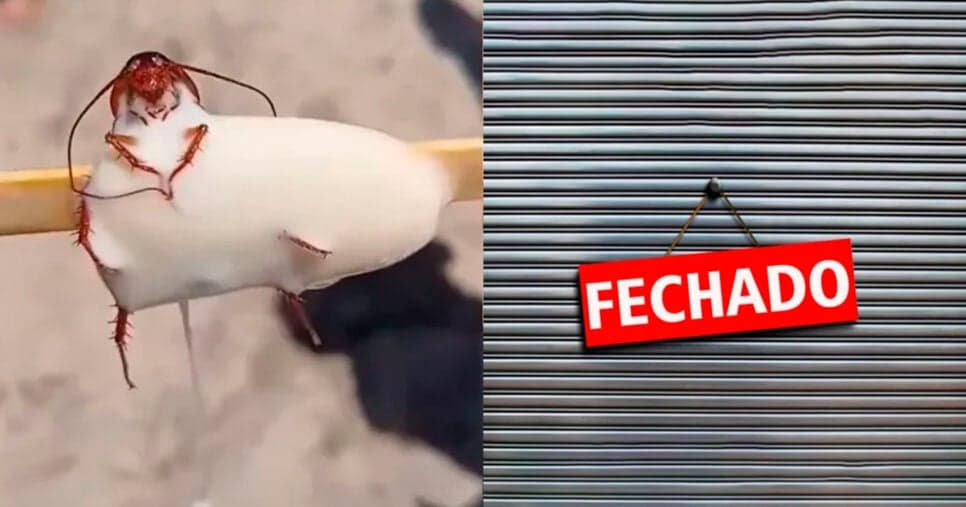 Barata no picolé: Fechamento de fábrica de sorvetes nº1 no RJ deixa cariocas abalados com nojeira em 2025